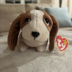 Ty Tracker Beanie Baby